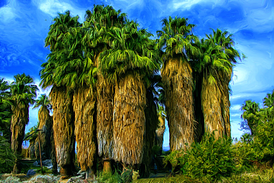 Palm Grove 5_Painting